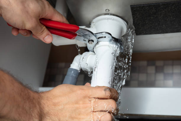 Best Sewage cleanup and water damage restoration  in Altavista, VA