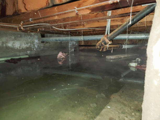 Best Residential water damage restoration  in Altavista, VA