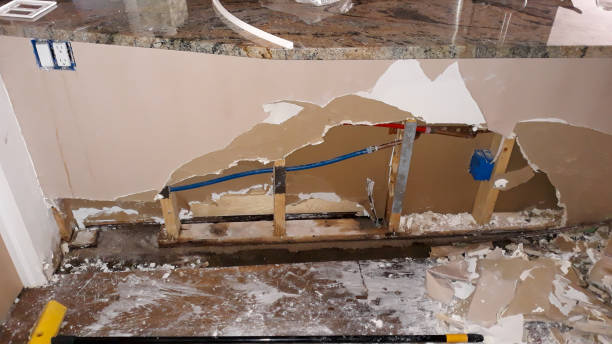 Best Water damage restoration near me  in Altavista, VA