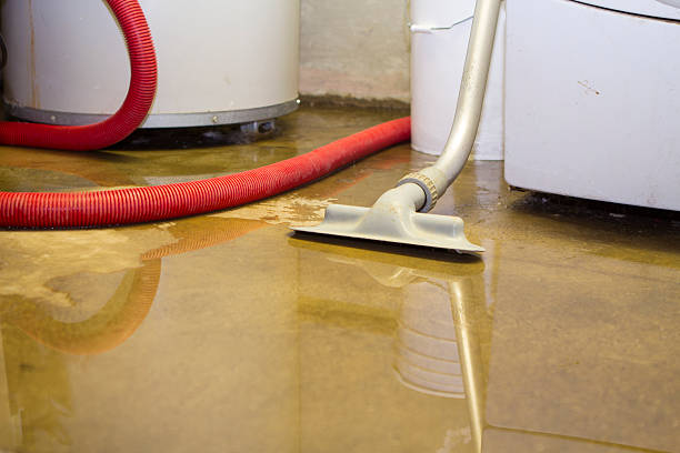 Best Local water damage restoration  in Altavista, VA
