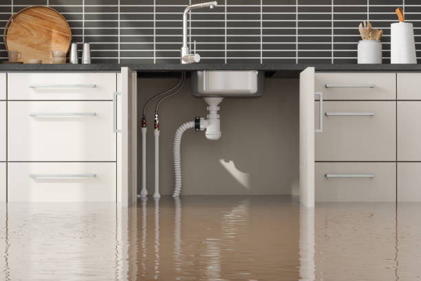 Best 24/7 water damage repair  in Altavista, VA