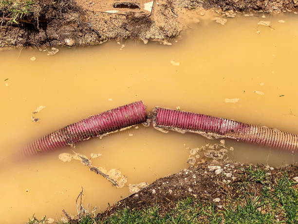 24/7 water damage repair in VA